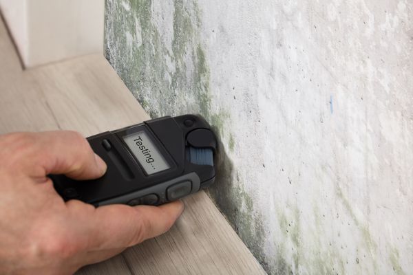 Mold Testing - Mold Testing Spokane, Washington