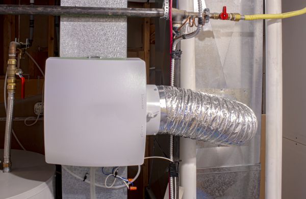 Humidifier Servicing