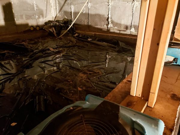 Basement Moisture Removal