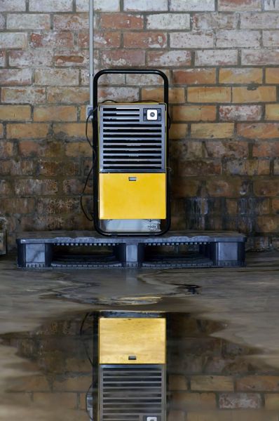 Basement Dehumidifier Repair