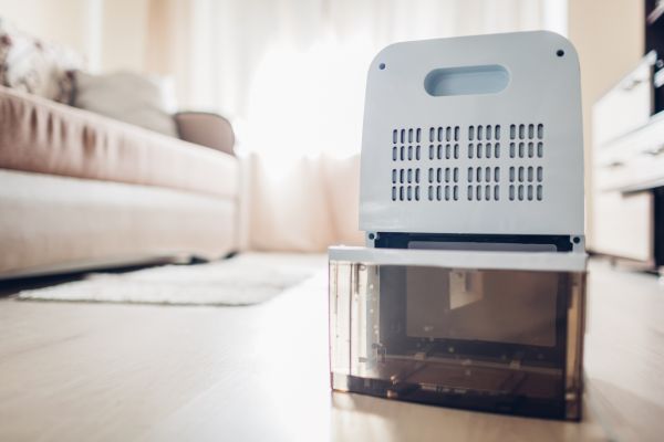 Dehumidifier Unit Replacement