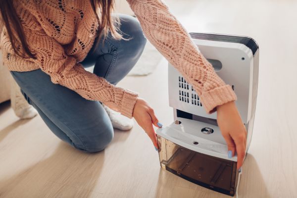 Dehumidifier Fan Replacement