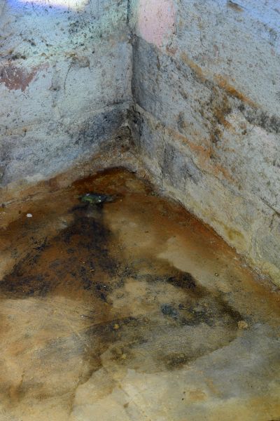 Basement Mold Prevention - Basement Mold Prevention Fairfax, Virginia